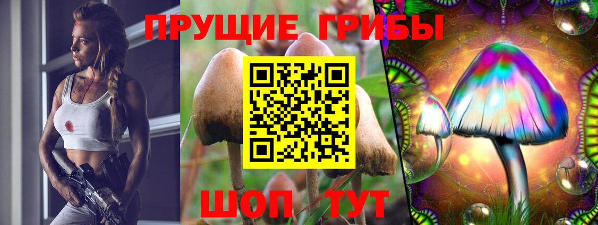 Псилоцибиновые грибы MAGIC MUSHROOMS  Вход с VPN  Томск  наркота  Галлюциногенные грибы Psilocybe 