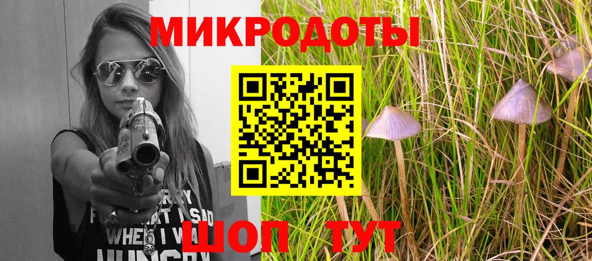 Псилоцибиновые грибы мухоморы Томск